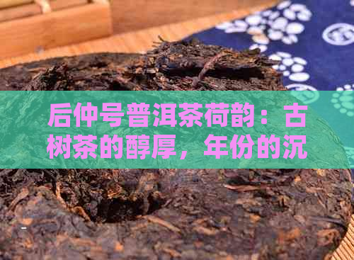 后仲号普洱茶荷韵：古树茶的醇厚，年份的沉淀，荷香的缭绕，品鉴的乐趣