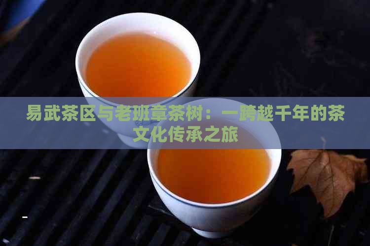 易武茶区与老班章茶树：一跨越千年的茶文化传承之旅