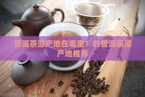 普洱茶原产地在哪里？的普洱茶原产地推荐