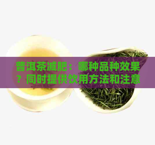 普洱茶减肥：哪种品种效果？同时提供饮用方法和注意事项