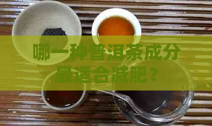 哪一种普洱茶成分最适合减肥？