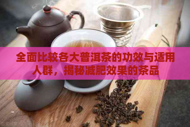 全面比较各大普洱茶的功效与适用人群，揭秘减肥效果的茶品