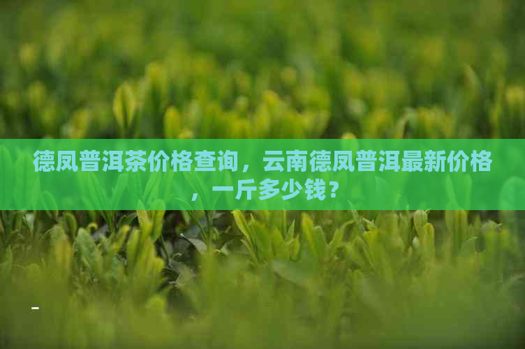 德凤普洱茶价格查询，云南德凤普洱最新价格，一斤多少钱？