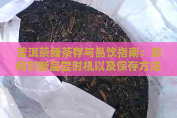 普洱茶新茶存与品饮指南：如何判断品尝时机以及保存方法