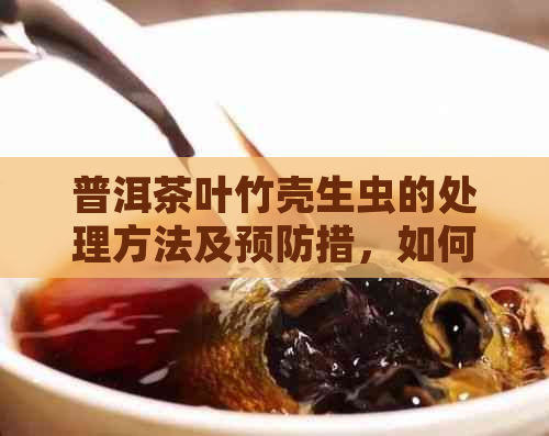 普洱茶叶竹壳生虫的处理方法及预防措，如何确保普洱茶品质不受影响？