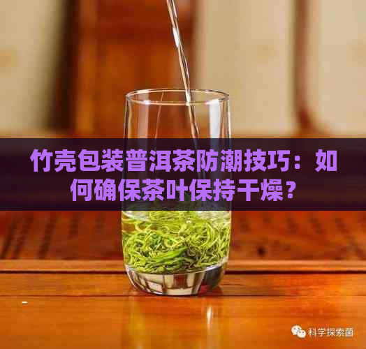 竹壳包装普洱茶防潮技巧：如何确保茶叶保持干燥？