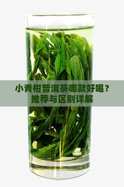 小青柑普洱茶哪款好喝？推荐与区别详解