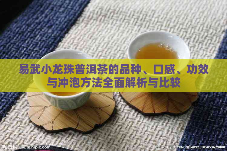 易武小龙珠普洱茶的品种、口感、功效与冲泡方法全面解析与比较