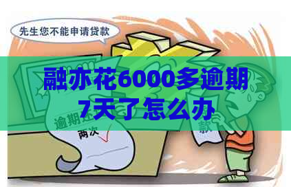 融亦花6000多逾期7天了怎么办