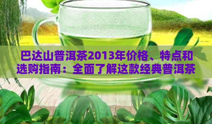 巴达山普洱茶2013年价格、特点和选购指南：全面了解这款经典普洱茶