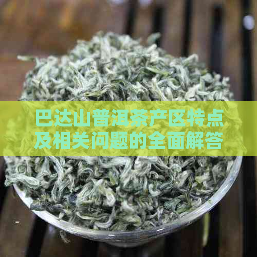 巴达山普洱茶产区特点及相关问题的全面解答