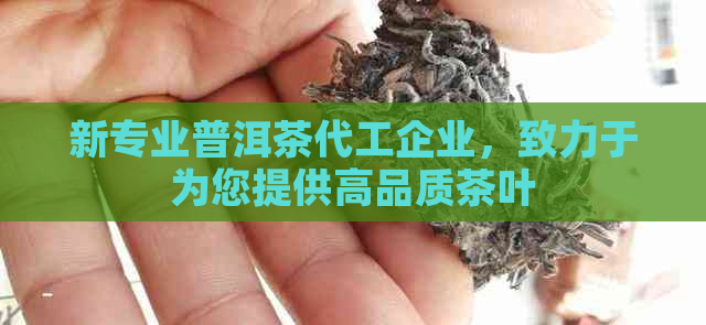 新专业普洱茶代工企业，致力于为您提供高品质茶叶