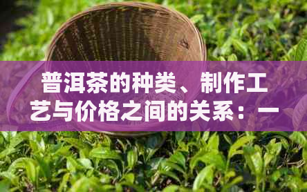 普洱茶的种类、制作工艺与价格之间的关系：一篇全面解析