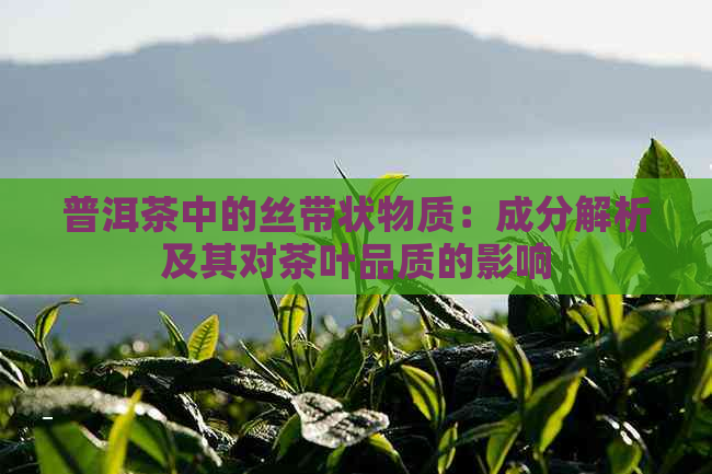 普洱茶中的丝带状物质：成分解析及其对茶叶品质的影响