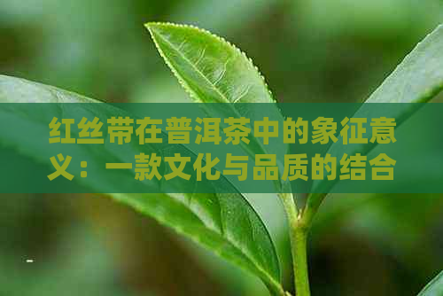 红丝带在普洱茶中的象征意义：一款文化与品质的结合