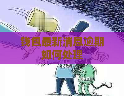 钱包最新消息逾期如何处理