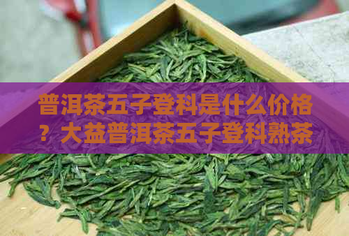 普洱茶五子登科是什么价格？大益普洱茶五子登科熟茶的相关信息。