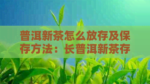 普洱新茶怎么放存及保存方法：长普洱新茶存放时间的技巧