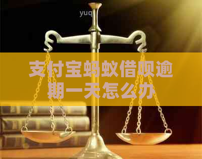 支付宝蚂蚁借呗逾期一天怎么办