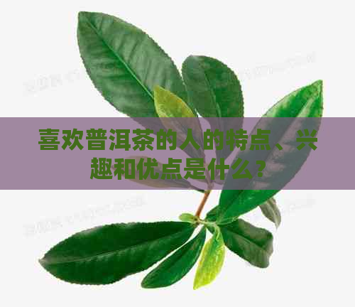 喜欢普洱茶的人的特点、兴趣和优点是什么？