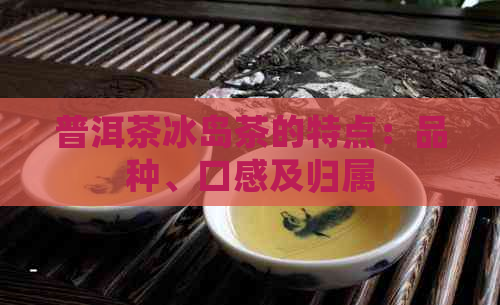 普洱茶冰岛茶的特点：品种、口感及归属