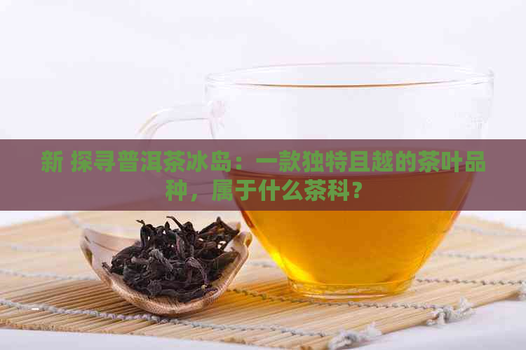 新 探寻普洱茶冰岛：一款独特且越的茶叶品种，属于什么茶科？