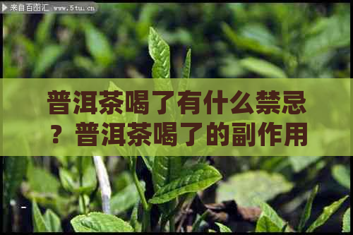 普洱茶喝了有什么禁忌？普洱茶喝了的副作用和禁忌，以及十大禁忌不得不看。