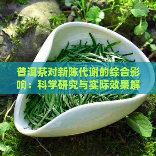 普洱茶对新陈代谢的综合影响：科学研究与实际效果解析