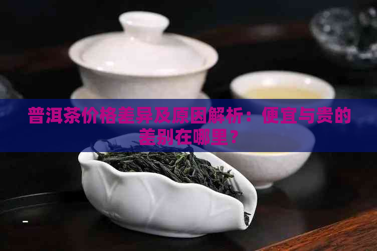 普洱茶价格差异及原因解析：便宜与贵的差别在哪里？