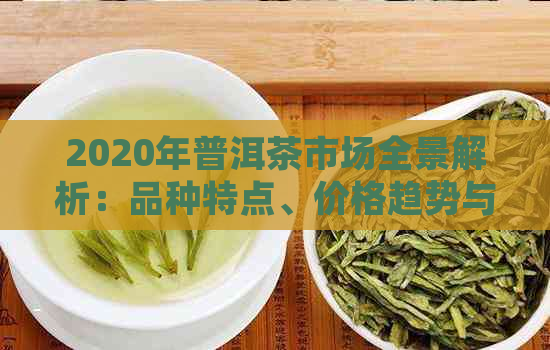 2020年普洱茶市场全景解析：品种特点、价格趋势与品鉴技巧一网打尽