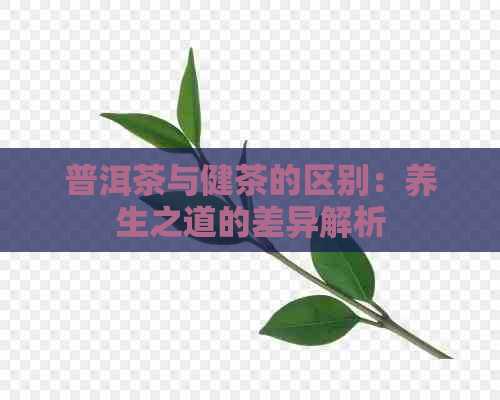 普洱茶与健茶的区别：养生之道的差异解析