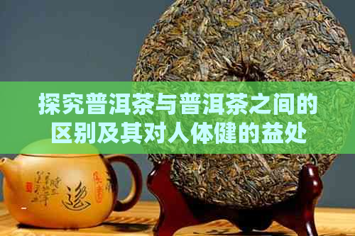 探究普洱茶与普洱茶之间的区别及其对人体健的益处