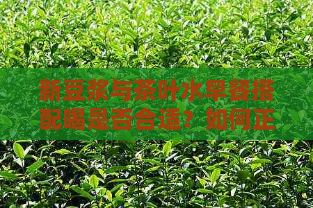 新豆浆与茶叶水早餐搭配喝是否合适？如何正确饮用以达到效果？