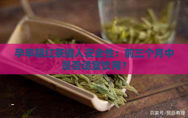 孕早期红茶摄入安全性：前三个月中是否适宜饮用？