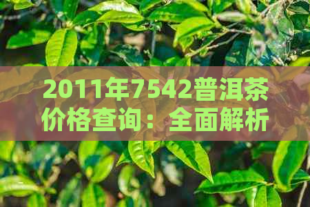 2011年7542普洱茶价格查询：全面解析与市场行情分析