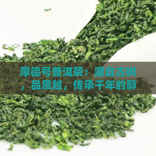 厚德号普洱茶：源自古树，品质越，传承千年的醇厚味道