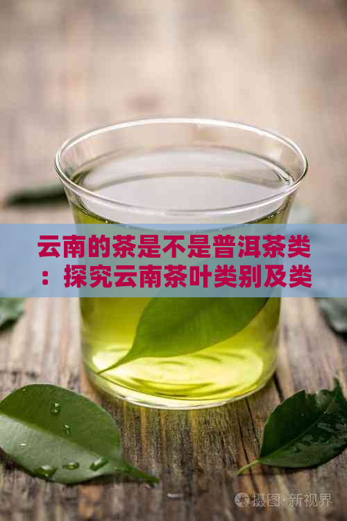 云南的茶是不是普洱茶类：探究云南茶叶类别及类型