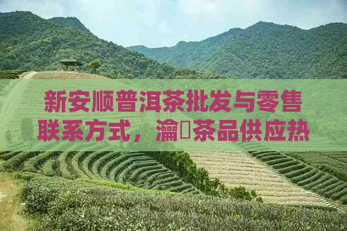 新安顺普洱茶批发与零售联系方式，瀹夐茶品供应热线