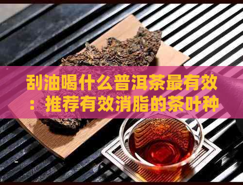 刮油喝什么普洱茶最有效：推荐有效消脂的茶叶种类