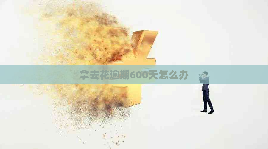 拿去花逾期600天怎么办