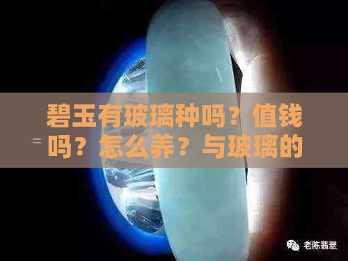 碧玉有玻璃种吗？值钱吗？怎么养？与玻璃的区别在哪里？