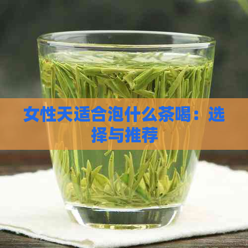 女性天适合泡什么茶喝：选择与推荐