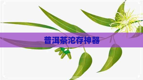 普洱茶沱存神器