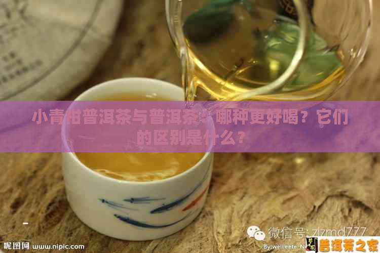 小青柑普洱茶与普洱茶：哪种更好喝？它们的区别是什么？