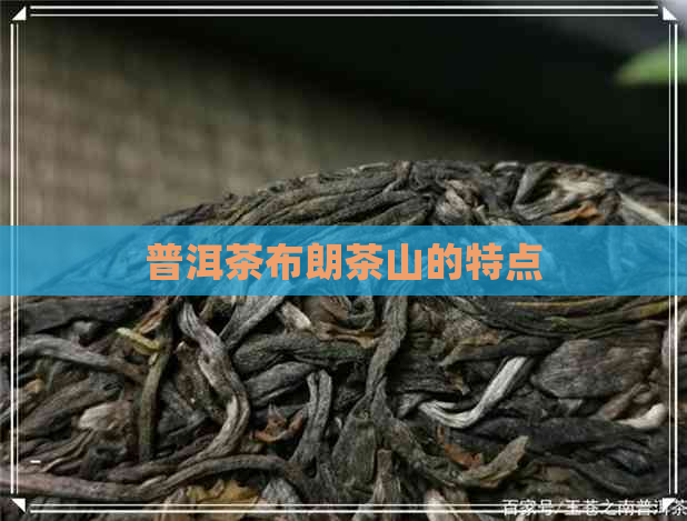 普洱茶布朗茶山的特点