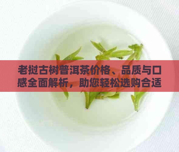 老挝古树普洱茶价格、品质与口感全面解析，助您轻松选购合适的茶叶