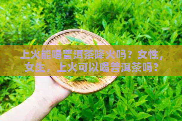 上火能喝普洱茶降火吗？女性，女生，上火可以喝普洱茶吗？