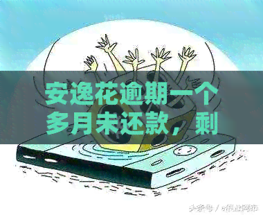 安逸花逾期一个多月未还款，剩余款项可取出吗？