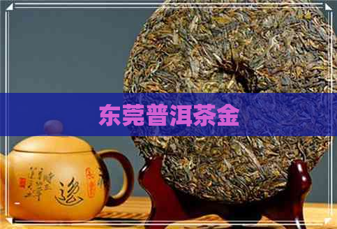 东莞普洱茶金