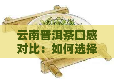 云南普洱茶口感对比：如何选择最适合自己口味的茶品？